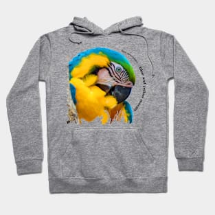 Blue and yellow macaw tropical bird pin black text Hoodie